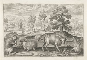 Diversi animali (serie Animali quadrupedi) da Adriaen Collaert