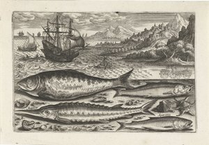 Quattro pesci sulla spiaggia da Adriaen Collaert