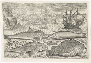 Quattro pesci sulla spiaggia (serie) da Adriaen Collaert