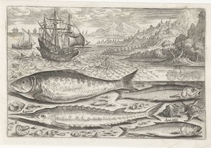 Quattro pesci sulla spiaggia (Icone vive dei pesci) da Adriaen Collaert
