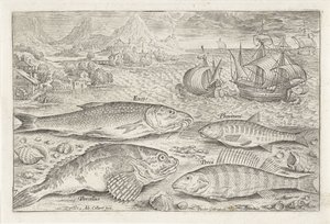 Quattro pesci sulla spiaggia (Icone vive dei pesci) da Adriaen Collaert
