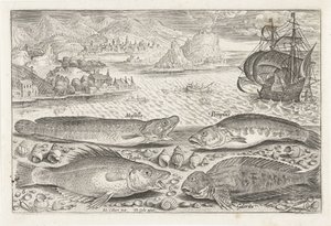 Quattro pesci sulla spiaggia da Adriaen Collaert