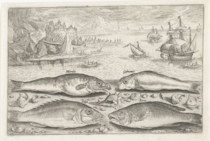 Quattro pesci sulla spiaggia da Adriaen Collaert