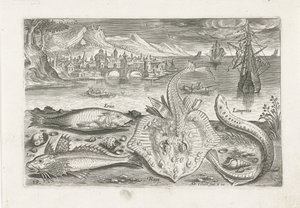 Quattro pesci sulla spiaggia (Vissen, Piscivm vivae icones) da Adriaen Collaert