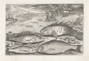 Quattro pesci sulla spiaggia da Adriaen Collaert