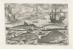 Quattro pesci sulla spiaggia da Adriaen Collaert