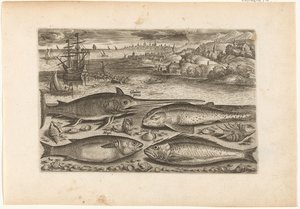 Quattro pesci sulla spiaggia da Adriaen Collaert