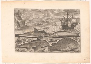 Quattro pesci sulla spiaggia da Adriaen Collaert