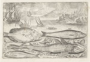 Quattro pesci sulla spiaggia da Adriaen Collaert