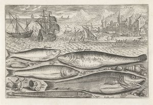 Cinque pesci sulla spiaggia (Vissen, Piscivm vivae icones) da Adriaen Collaert