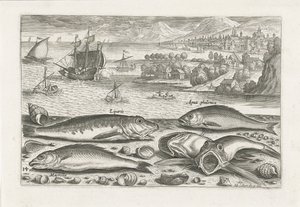 Cinque pesci sulla spiaggia (Vissen, Piscivm vivae icones) da Adriaen Collaert