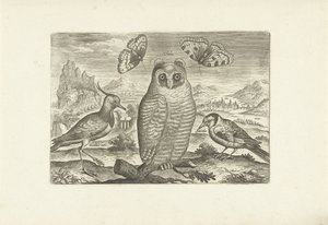 Uccelli e farfalle in un paesaggio da Adriaen Collaert