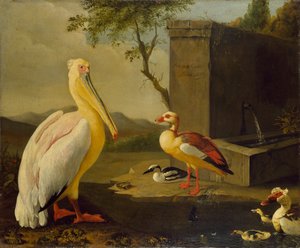 Uccelli orientali, 1683