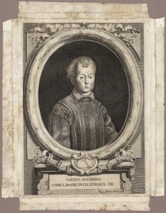 Cosimo I da Adriaen Haelwegh