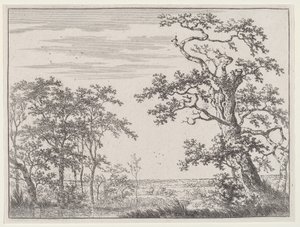 Paesaggio con un ruscello e un albero antico