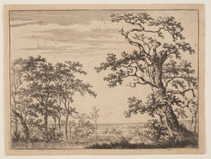 Lo stagno da Adriaen Hendricksz. Verboom