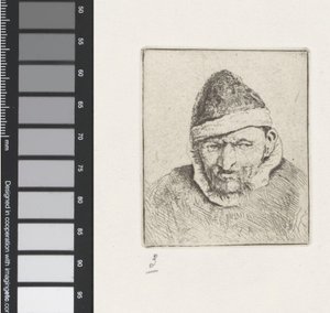 Busto di un vecchio contadino con cappello a punta da Adriaen van Ostade