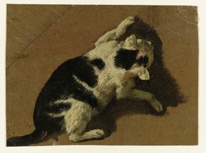 Gatto che gioca vicino a un muro