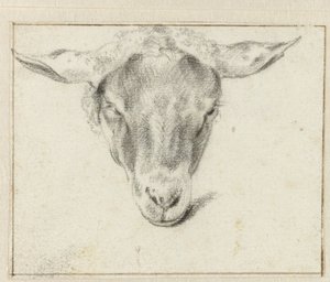 Testa di pecora, di fronte da Adriaen van de Velde (attributed to)