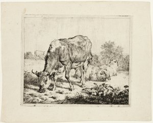 Toro al pascolo e tre pecore da Adriaen van de Velde
