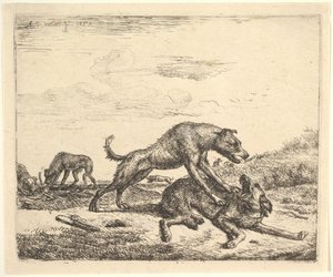 Cani che combattono, da Animali diversi, 1657 da Adriaen van de Velde