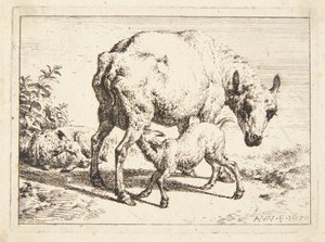 Pecora e due agnelli da Adriaen van de Velde