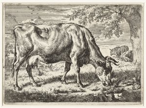 Mucca al pascolo e due pecore