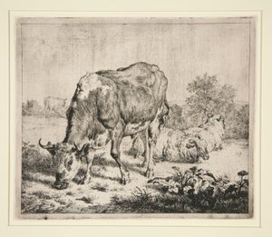 Le Boeuf Pie et les trois moutons da Adriaen van de Velde