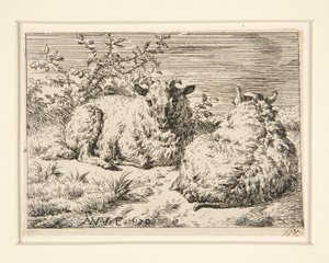 Les Deux Moutons da Adriaen van de Velde