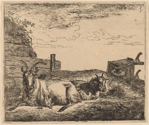 Capre Recumbenti da Adriaen van de Velde