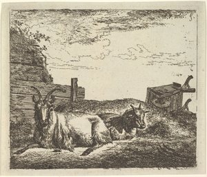 Capre Distese, da Animali Diversi da Adriaen van de Velde
