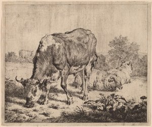 Toro Maculato e Tre Pecore da Adriaen van de Velde