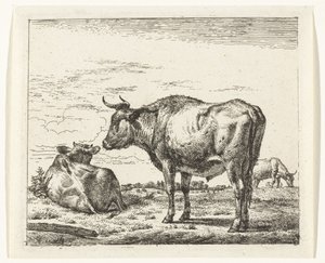 Toro in piedi da Adriaen van de Velde