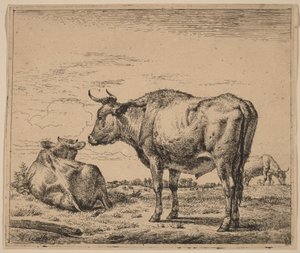  da Adriaen van de Velde