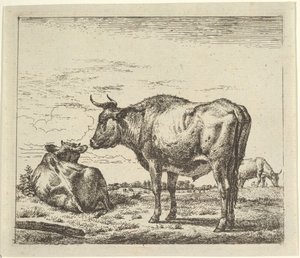 Toro in piedi, da Animali diversi da Adriaen van de Velde