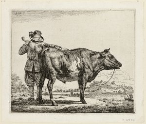 Il Mandriano e il Toro