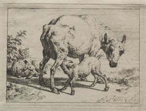 La pecora e due agnelli da Adriaen van de Velde
