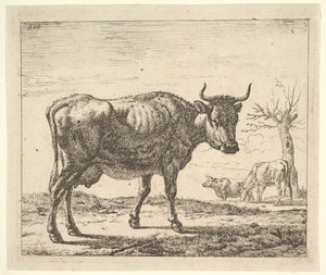 Tre mucche, da Animali Diversi da Adriaen van de Velde