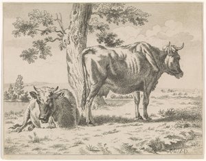Due mucche presso un albero da Adriaen van de Velde