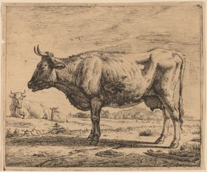 Due Mucche e una Pecora da Adriaen van de Velde