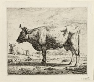 Due mucche e una pecora da Adriaen van de Velde