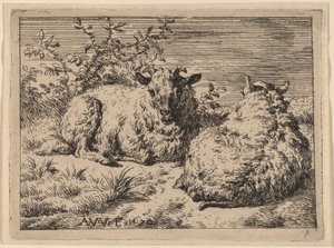 Due pecore sdraiate da Adriaen van de Velde