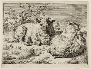 Due pecore da Adriaen van de Velde