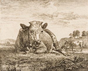  da Adriaen van de Velde