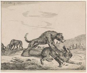 Cani che combattono da Adriaen van de Velde