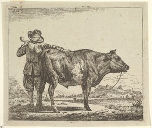 Giovane mandriano con un toro, da Animali diversi, 1659