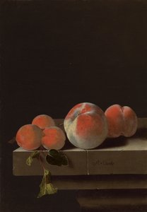 Pesche e albicocche su un ripiano di pietra da Adrian Coorte