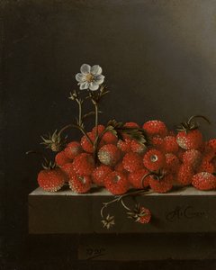 Natura morta con fragole selvatiche