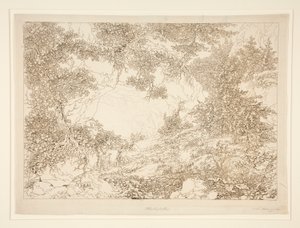 Paesaggio da Adrian Zingg