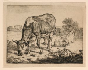 Bue e tre pecore da Adrian van de Velde